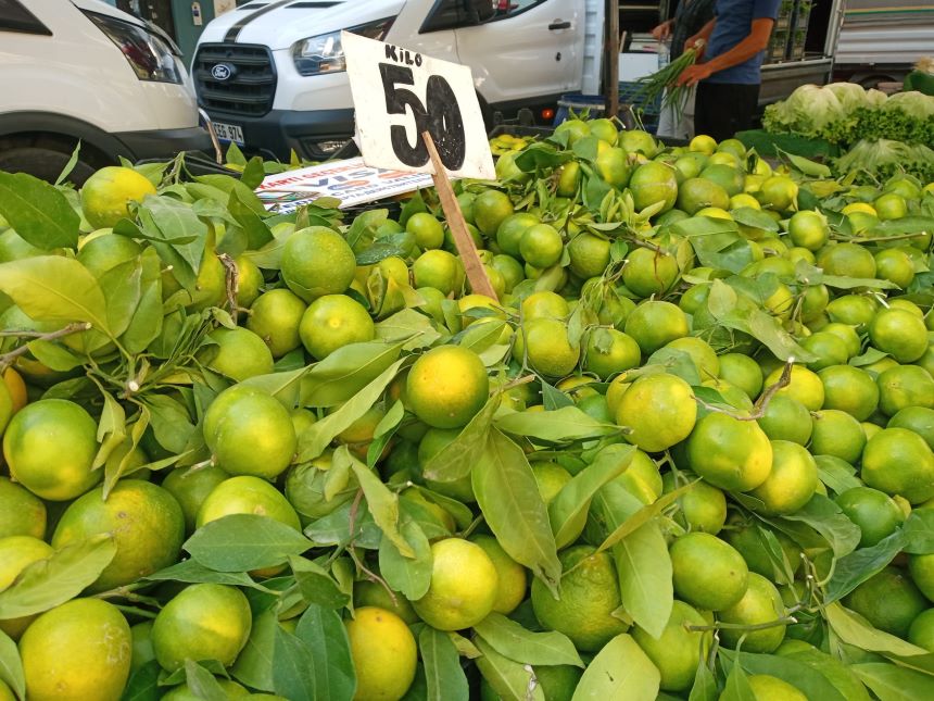 Mandalina 50 Tl