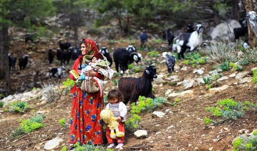 Toroslarda Keçi Ve Yörük Yaşamı