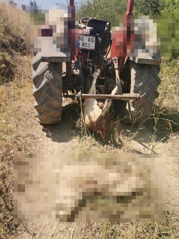 Vahşi Çöp Depolama Alanının Çevr (1)