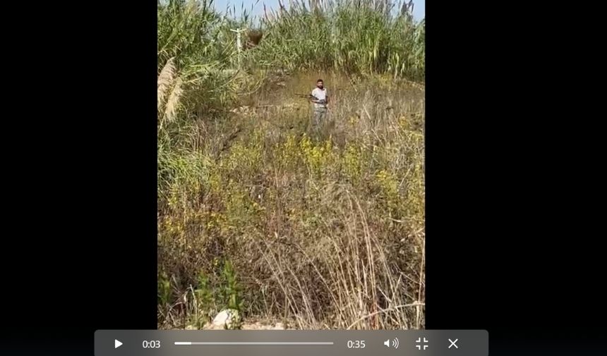 Aksu Sokak Hayvanlarına Tüfekle Müdahale