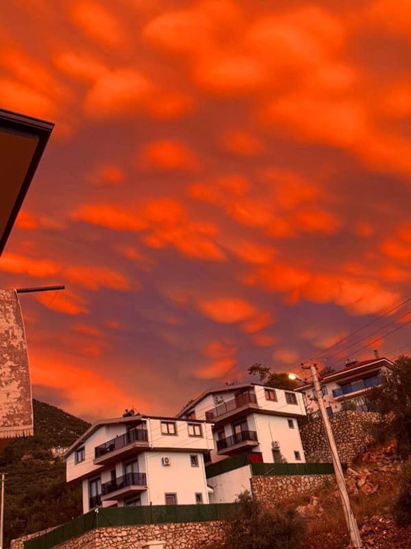 F E T H I Y E D E M A M M A T U S B U L U T L A R I G O R U L D U 987789 293250