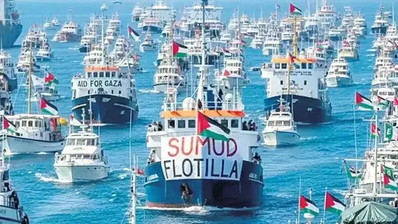 Sumud Filosu tasarım