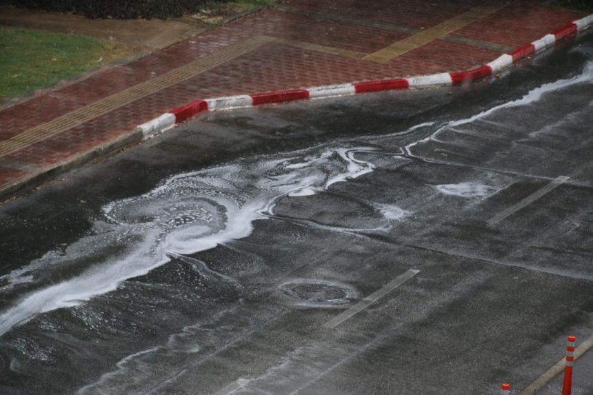 Yağmur Güllük Caddes (1)