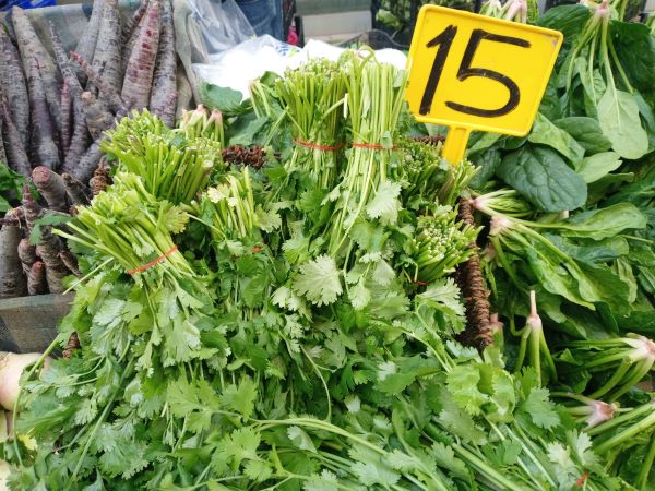 Antalya Cuma Pazarı Kasım 2025 (2)