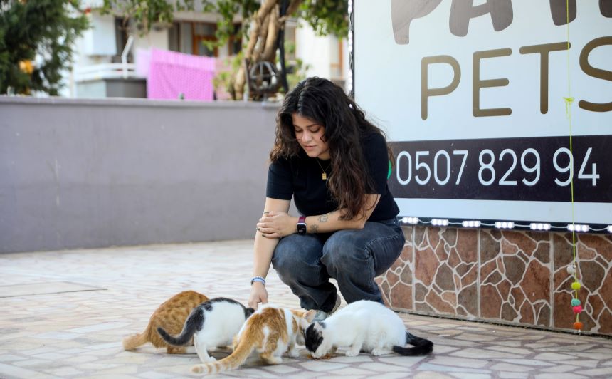 Antalya'da Bastonal Öldürülen Kedi (1)