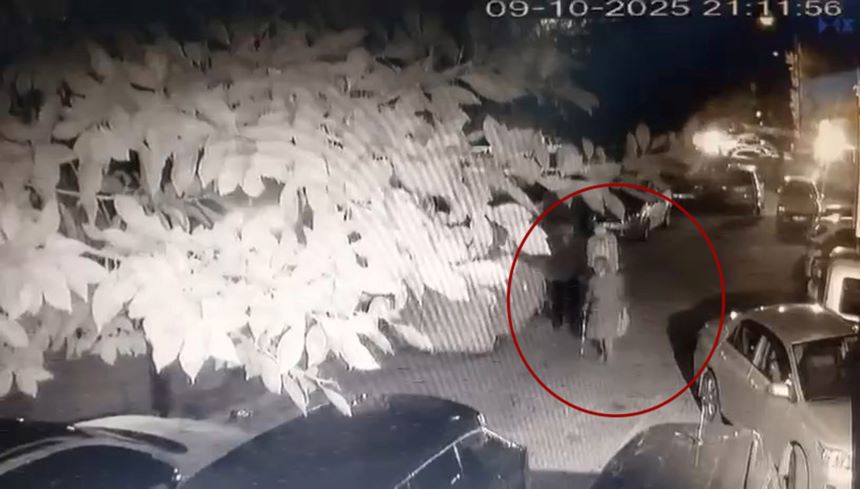 Antalya'da Bastonal Öldürülen Kedi (3)