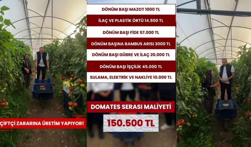 Domates Üretim Maliyetleri Aykut Kaya