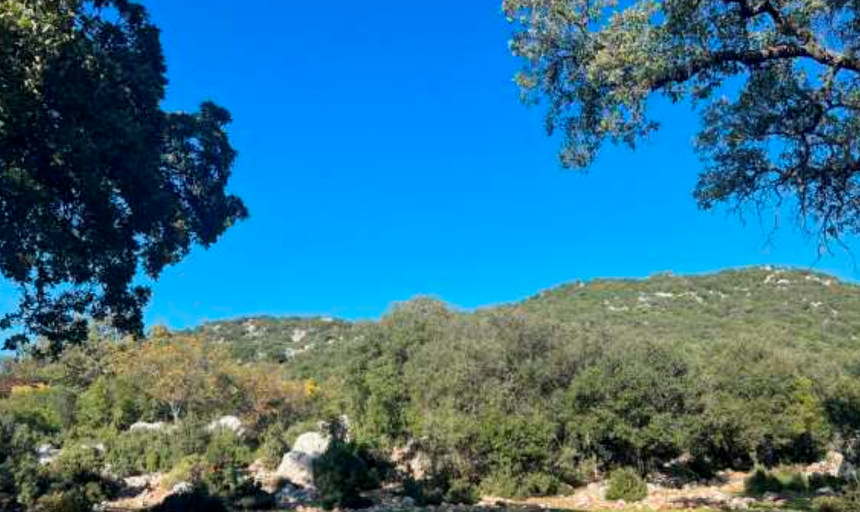Kaş'a Yeni Maden Ocağı (2)