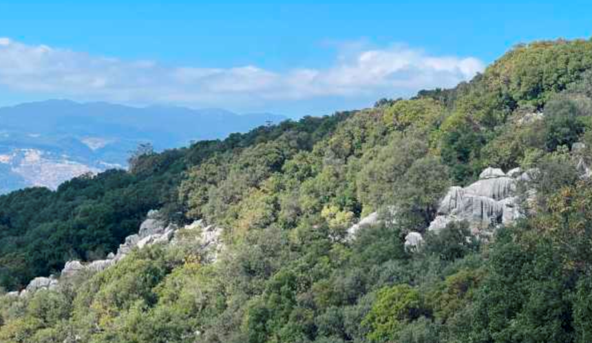 Kaş'a Yeni Maden Ocağı (3)