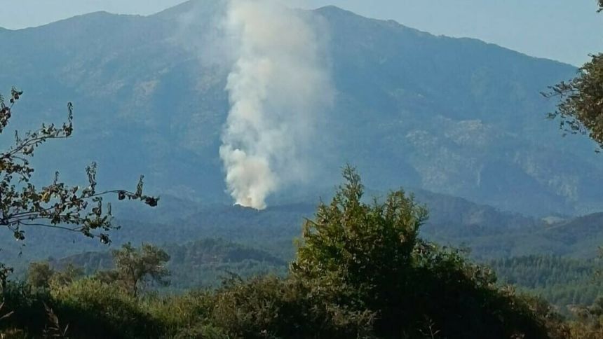 M U G L A S E Y D I K E M E R D E O R M A N Y A N G I N I 1018082 302049