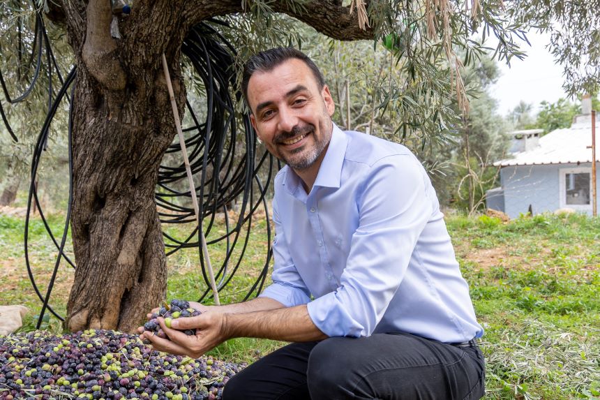 Manavgat'ta Zeytinin Bereketi Yeniden Kutlanacak (1)