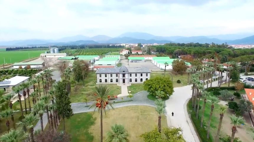 Muğla Afro Türkler (2)