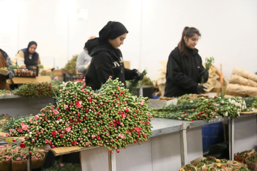 Yeni Yıl Çiçek Ihracatı (1)