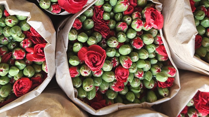 Yeni Yıl Çiçek Ihracatı 23