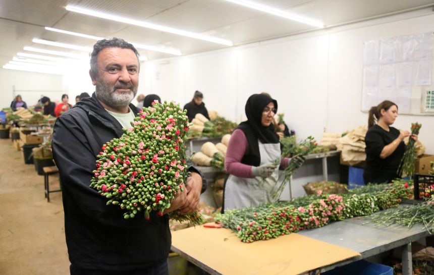 Yeni Yıl Çiçek Ihracatı (3)