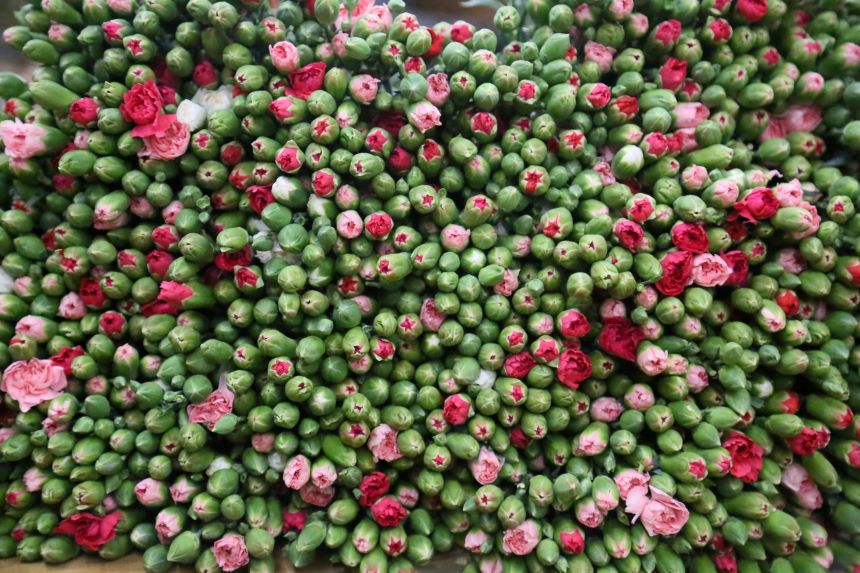 Yeni Yıl Çiçek Ihracatı (4)