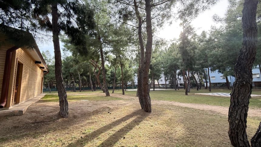 3 Aralık Dünya Engelliler Günü'nde Otizmli Bireyler Derneği (6)