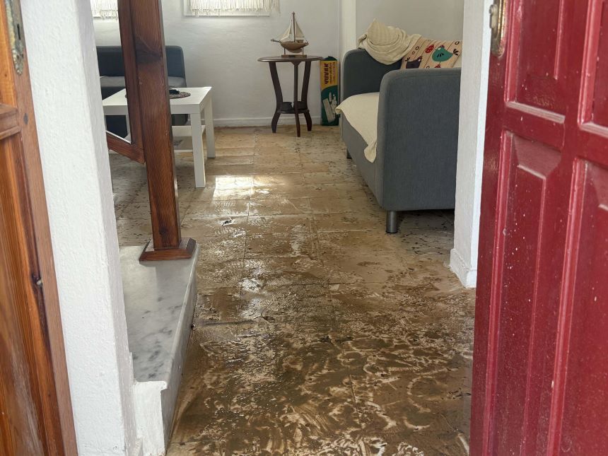 B O D R U M D A I S A L E H A T T I P A T L A D I C A D D E G O L 1045196 310154