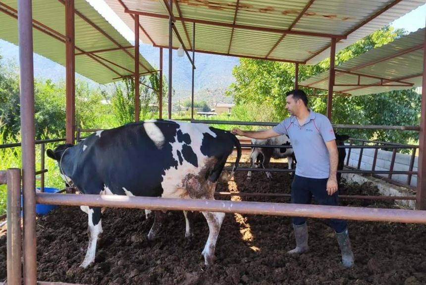 Muğla Şap Hastalığı Karantina