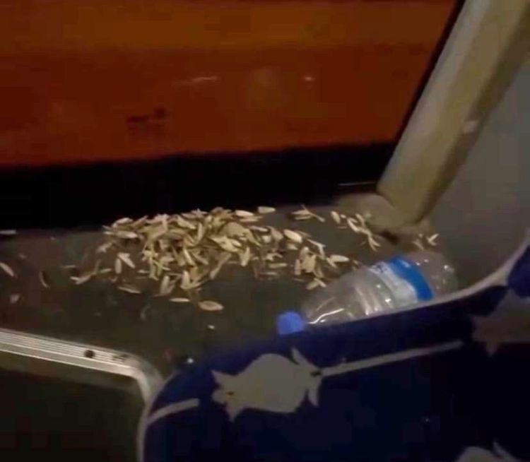 Otobüs Çekirdek Antalya (1)