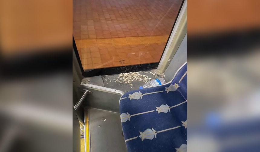 Otobüs Çekirdek Antalya (2)