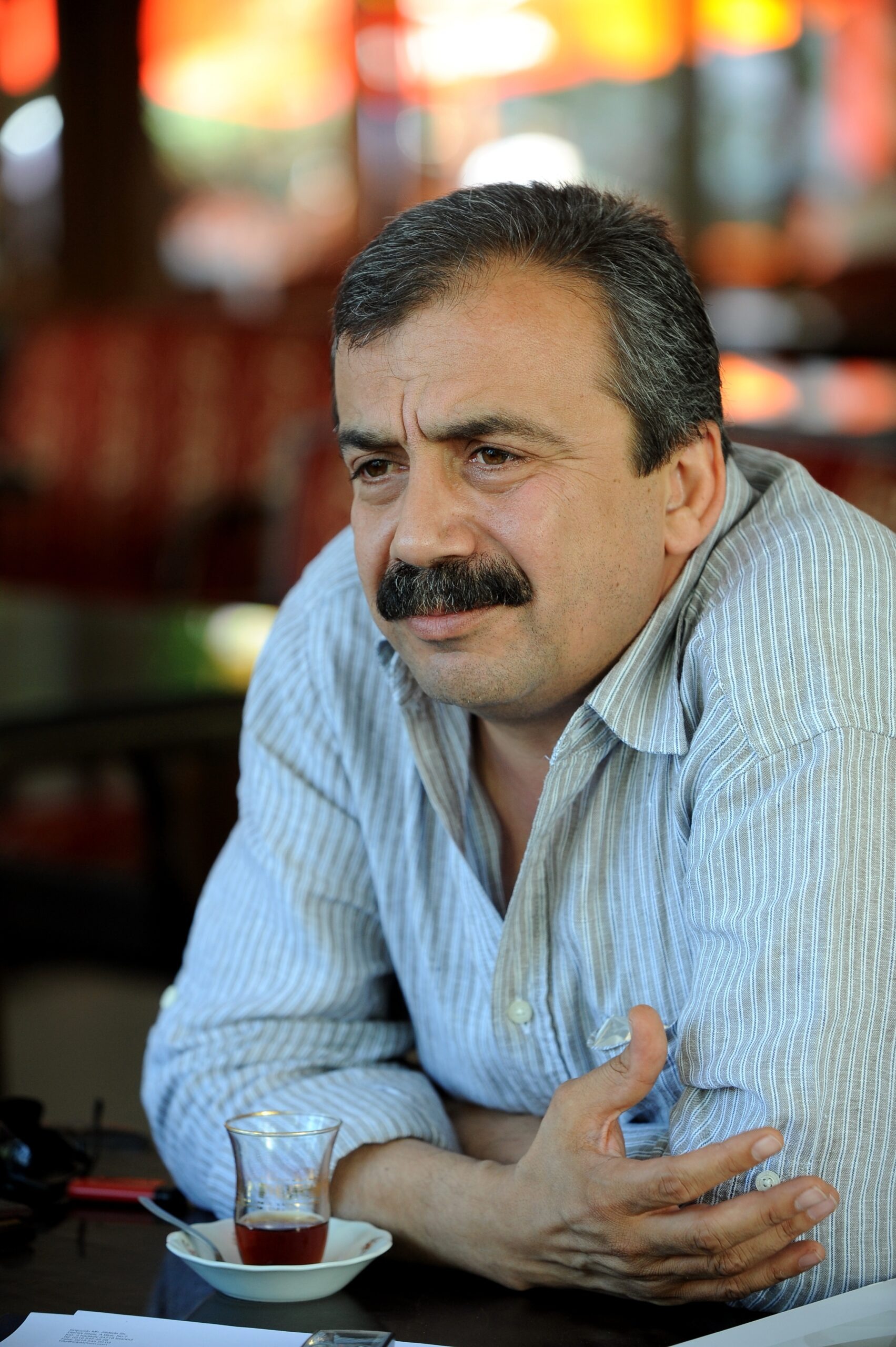 Sırrı Süreyya Önder 2