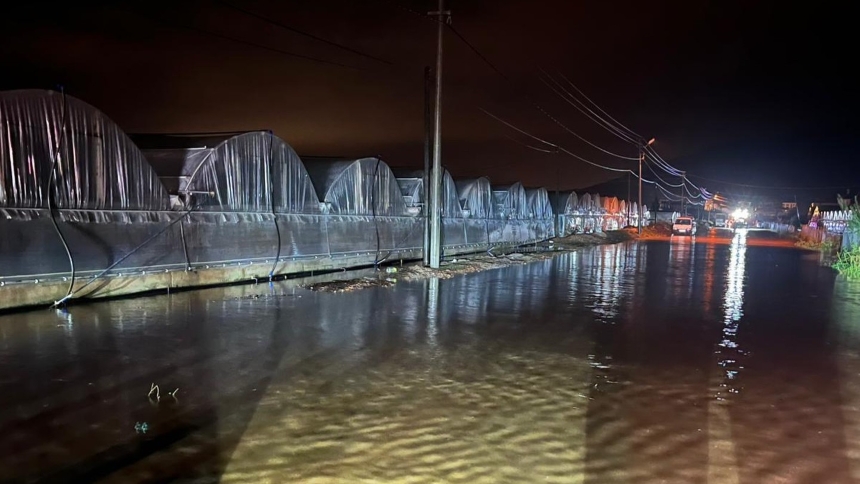 Antalya'da Sağanak Sonrası Su Basan Seralar (2)