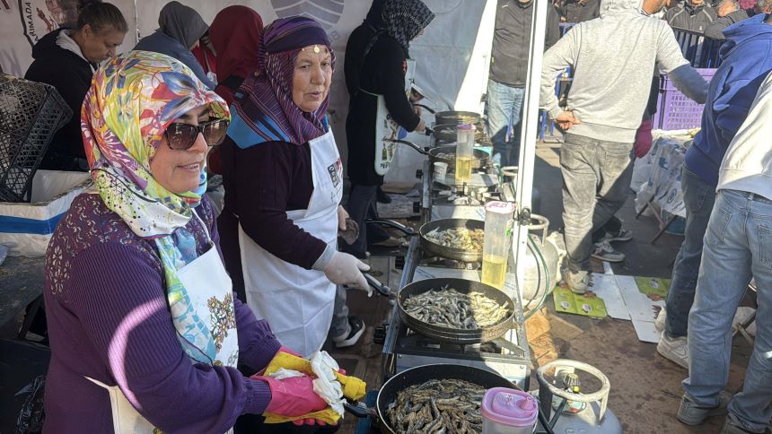 B O D R U M’ D A H A M S I F E S T I V A L I’ N D E 3 T O N H A M S 1122650 333155