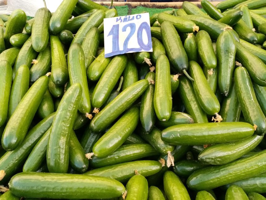 Cuma Pazarı Salatalık-1