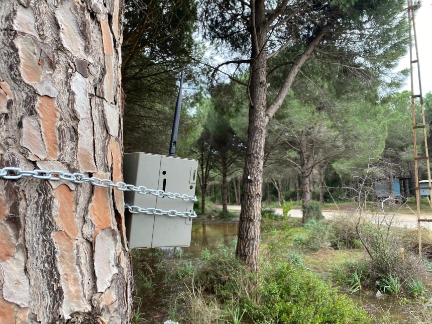 Kumköy Hortumdan Zarar Gören Ağaçlar Fotokapan (1)