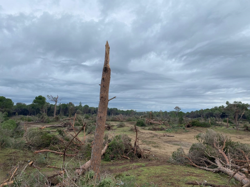 Kumköy Hortumdan Zarar Gören Ağaçlar Fotokapan (4)