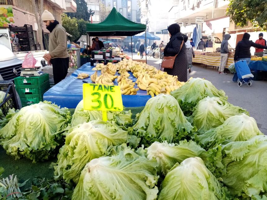 Marul Fiyatı Antalya 2