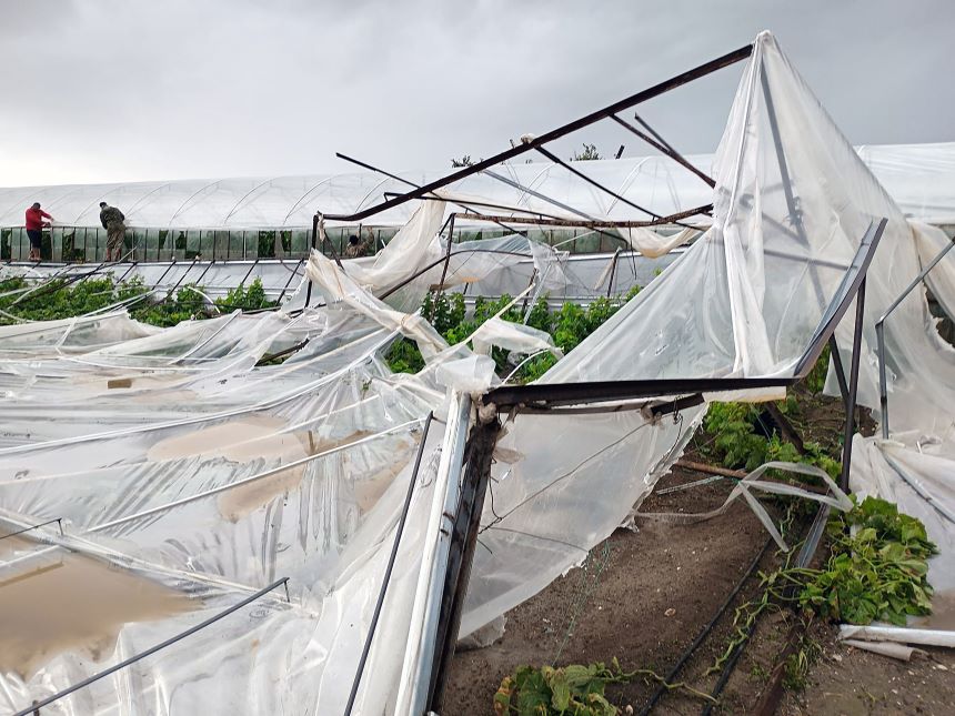 Muğla'da Seralar Hasar Aldı! Yetkililer Hasar Tespit Çalışmalarına Başladı (1)