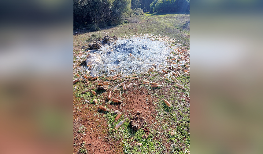 Ormana Atılan Cam Şişeler Antalya (2)