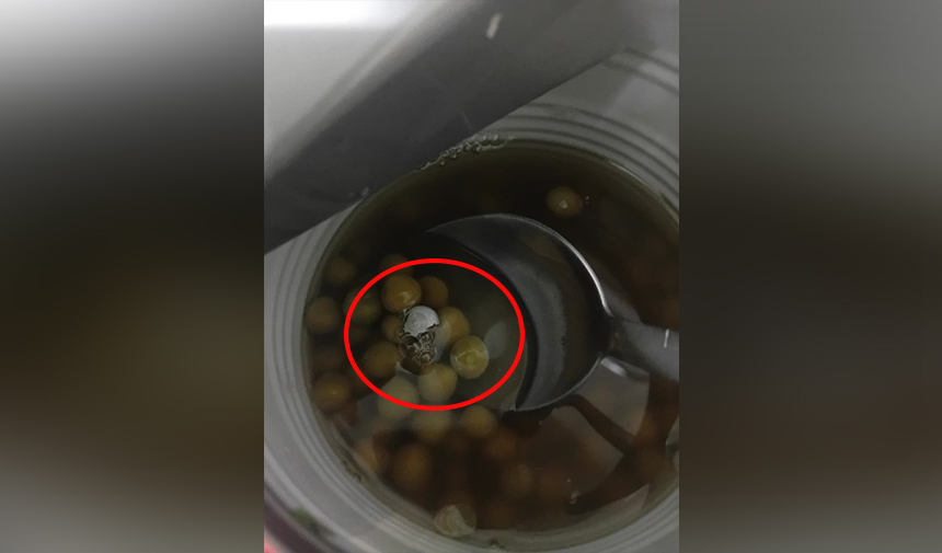 Salyangozlu Bezelye 2