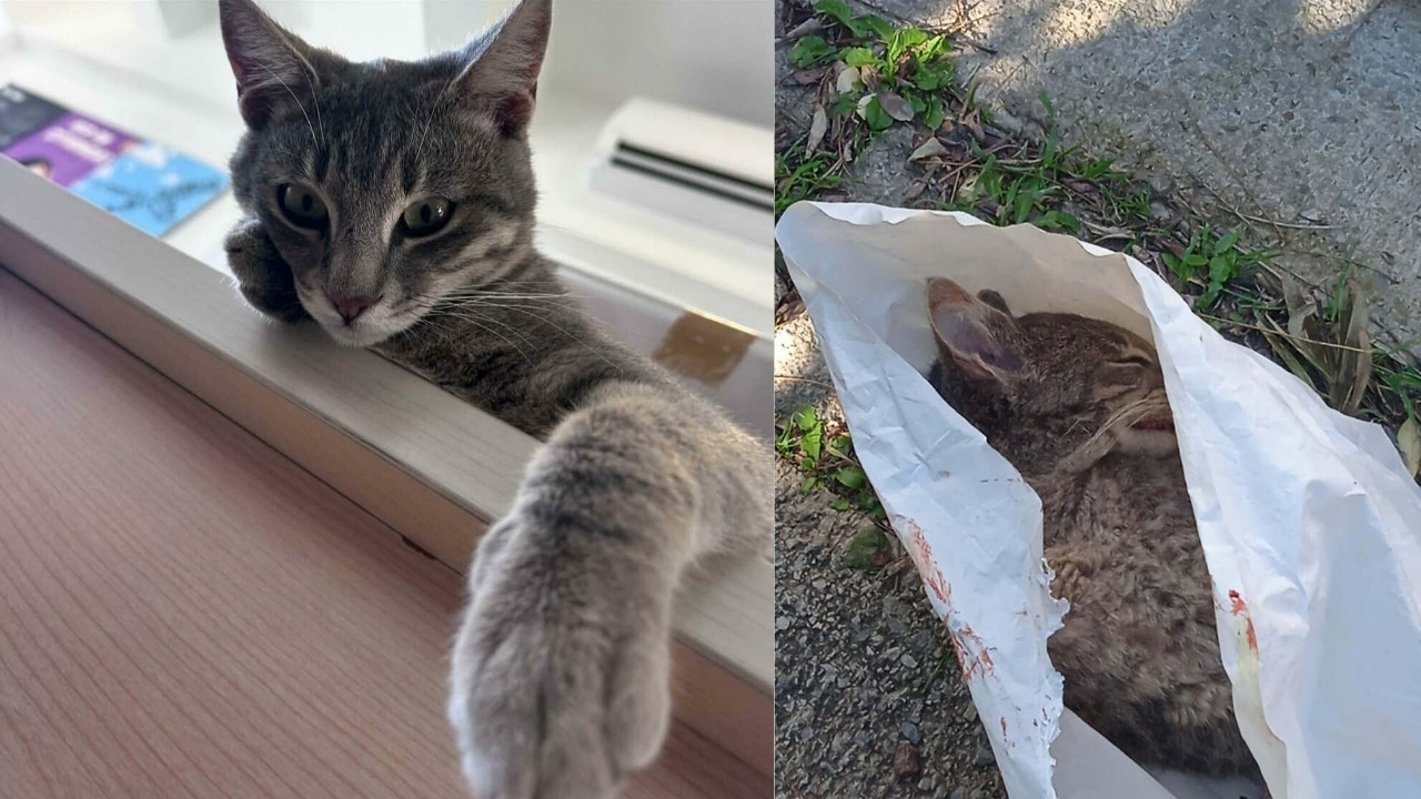 Vi̇ldan Özkan 2026 01 23T144830.523