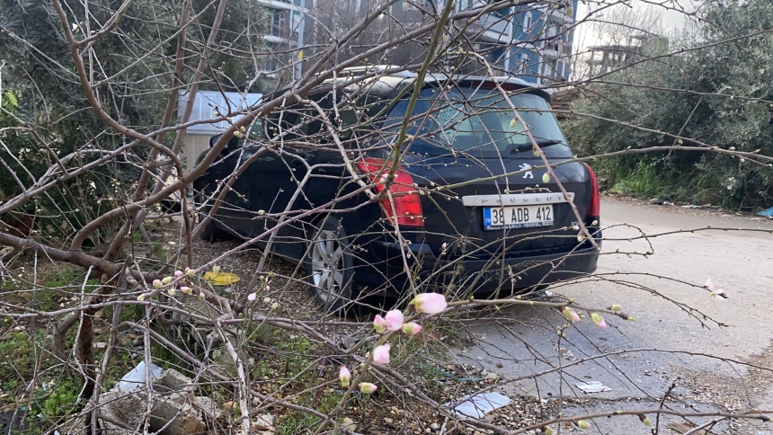 Badem Ağacı Çiçek Açtı Antalya