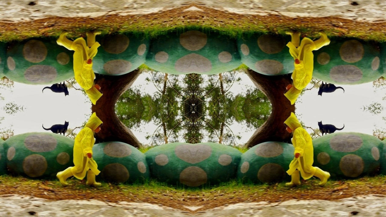 Hiçbir Şey Normal Değil