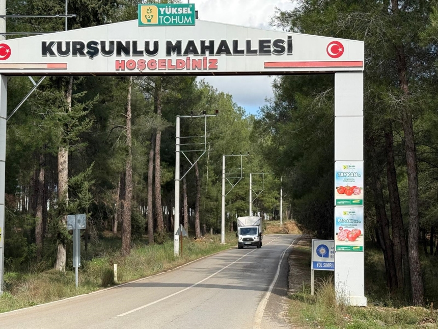 Kurşunlu Ormanı Kesilen Ağaçlar (3)