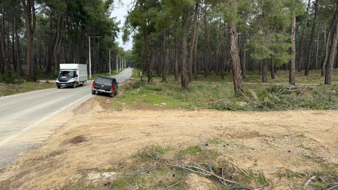 Kurşunlu Ormanı Kesilen Ağaçlar Yeni Görüntü 3