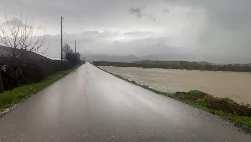 Whatsapp Video 2026 02 13 At 11.06.50.00 00 00 00.Still001