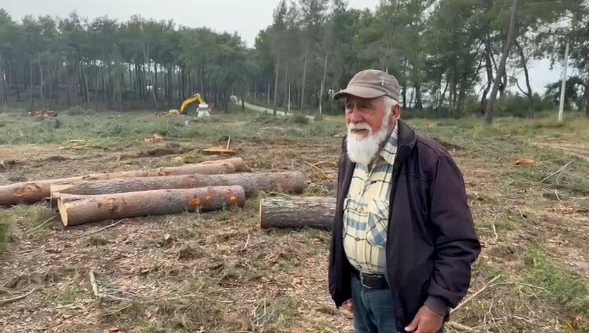 Whatsapp Video 2026 02 16 At 15.11.49.00 03 25 20.Still002