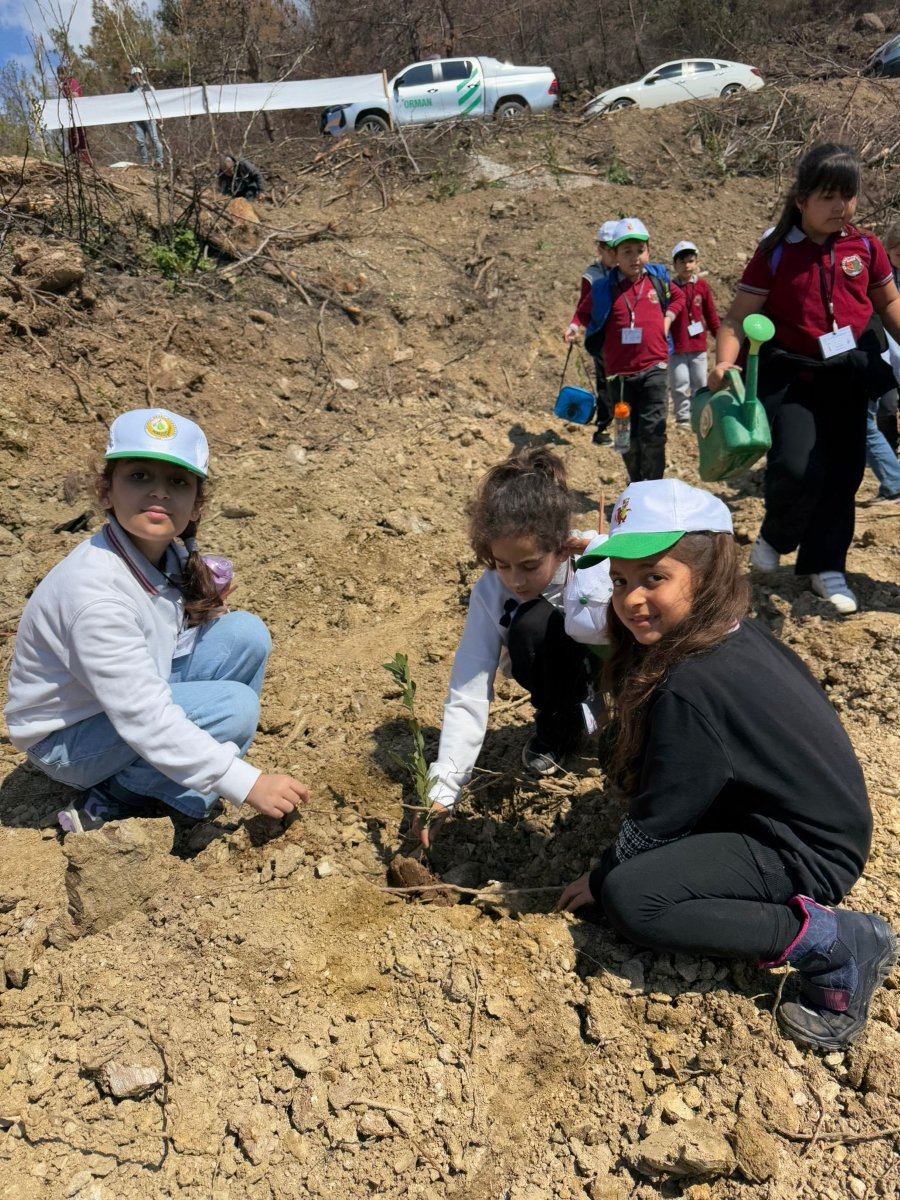 7E20292B 1712 4772 9Cf1 Be0F6673Db46