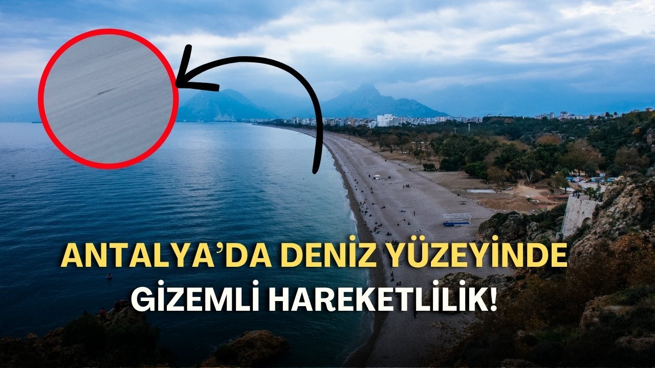 Antalya’da deniz yüzeyinde gizemli hareketlilik! Gizemli nesneyi gören telefona sarıldı