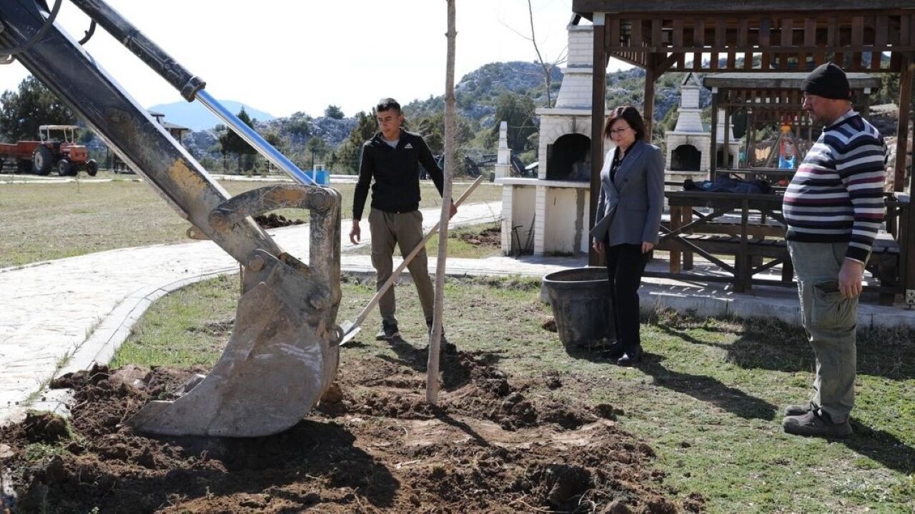 İlkay Akca Fidan Ekimini Yerinde Inceledi
