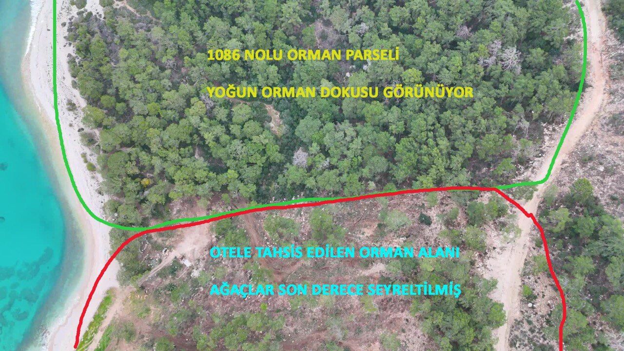 Kemer'de 900 Yataklı Otel Yapmak Için Ağaç Kıyımı Başladı (10)