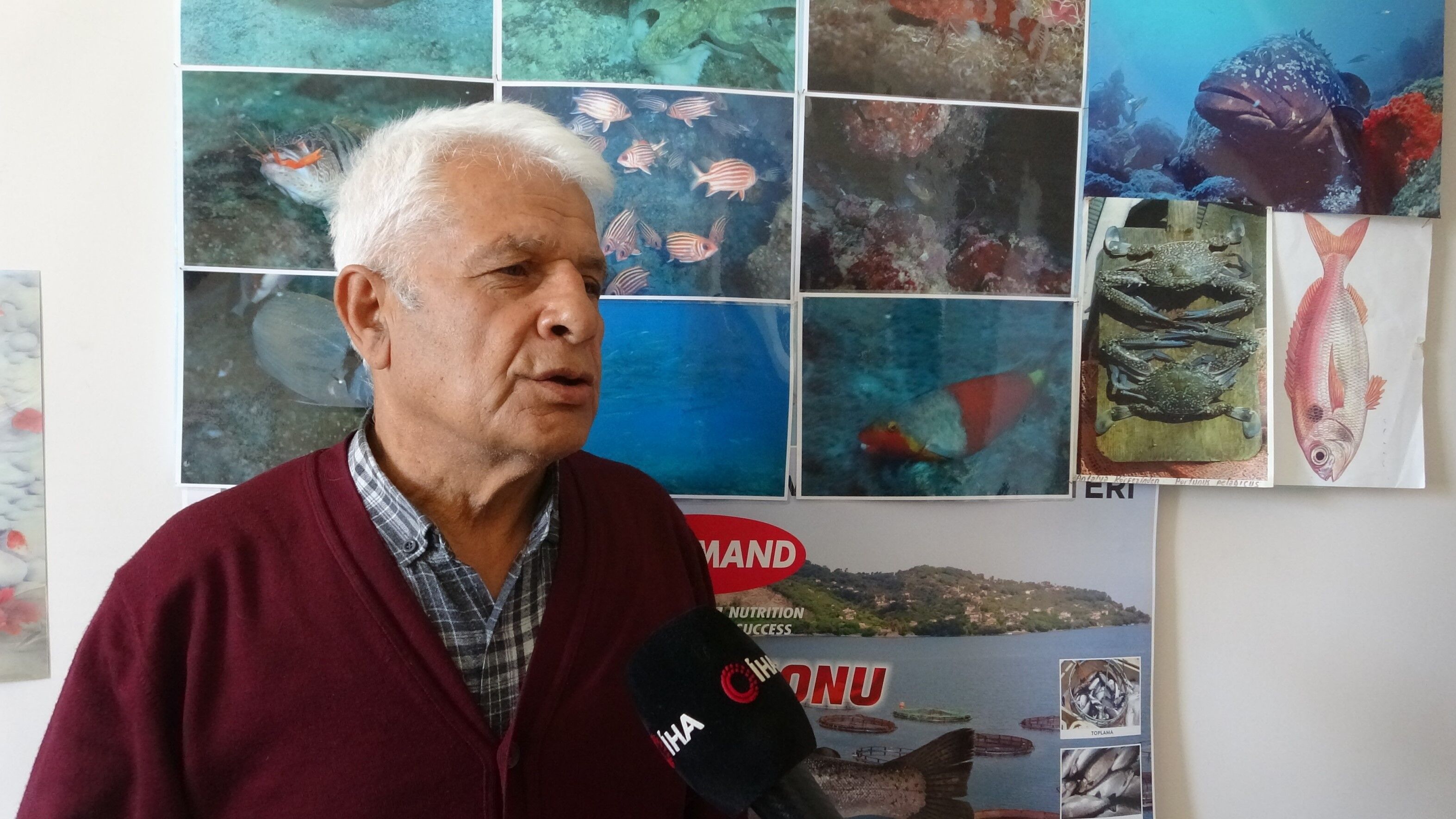 Mehmet Gökoğlu Akdeniz Üniversitesi Su Ürünleri Fakültesi Öğretim Üyesi Prof. Dr.