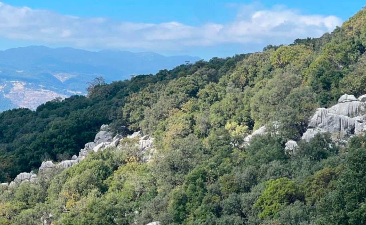 Antalya Kaş Ilçesinde 1. Derece Arkeolojik Sit Alanı