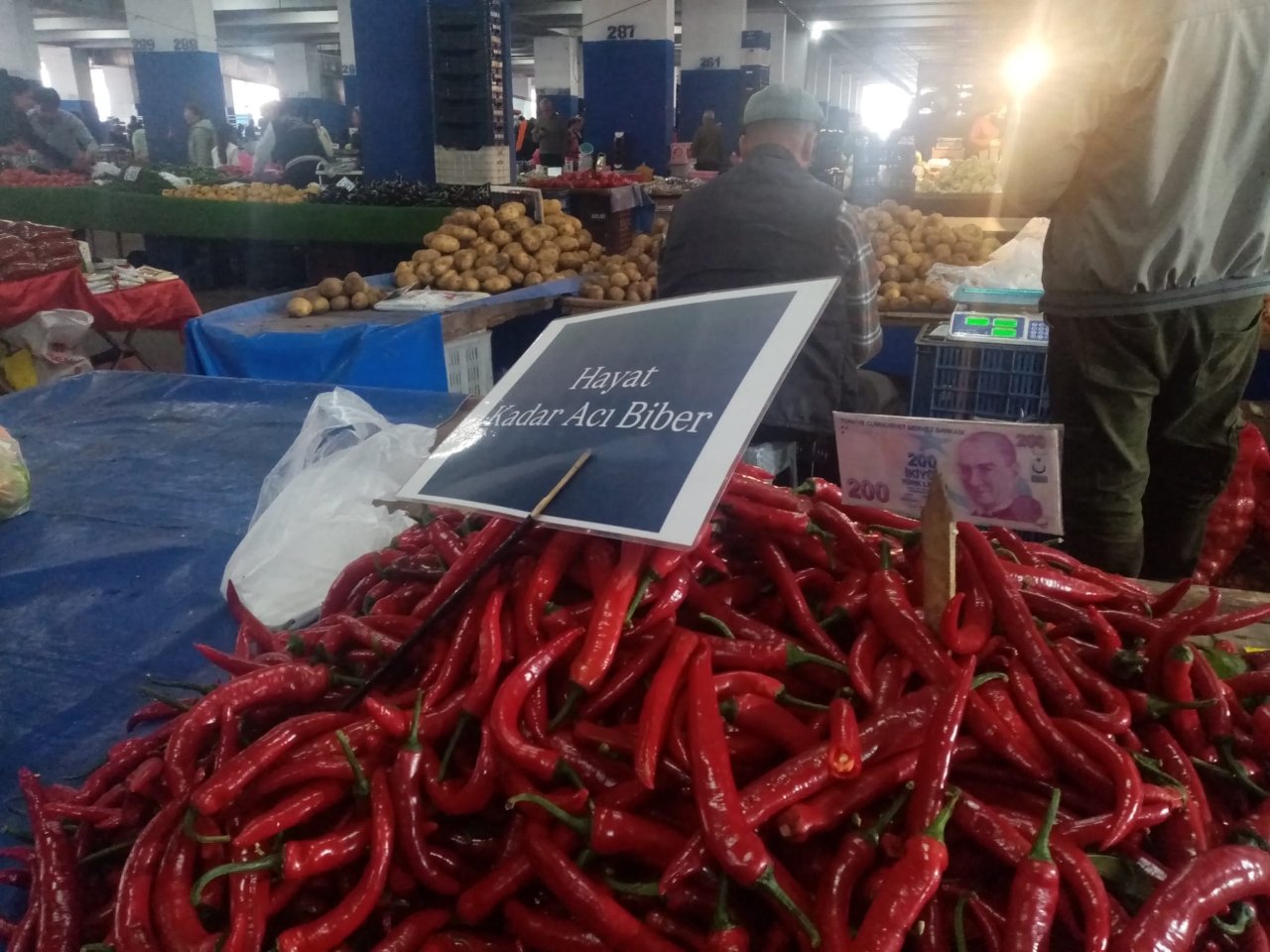 Hayat Kadar Acı Biber 3