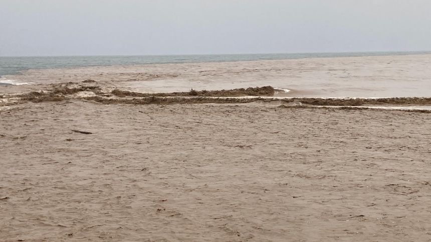 Kahverengi Akdeniz (4)